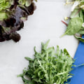 The Ultimate Guide to Salads